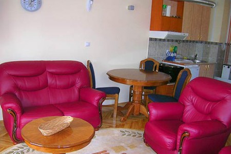 apartments belgrade planina apartment dubravka crveni3