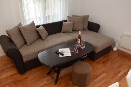 apartmani beograd planina apartman zlatiborski andjeo 163