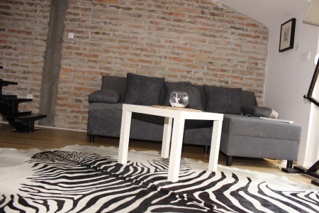 apartmani beograd vracar apartman ilias apartman2
