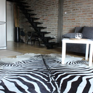 apartmani beograd vracar apartman ilias5