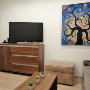 apartmani beograd vracar apartman ekatarina3