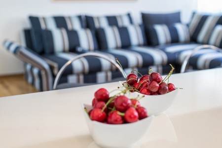 apartments belgrade centar apartment rakoc a223