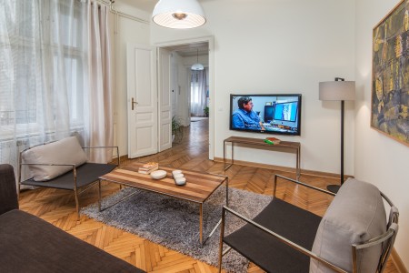 apartmani beograd centar apartman rakoc a334