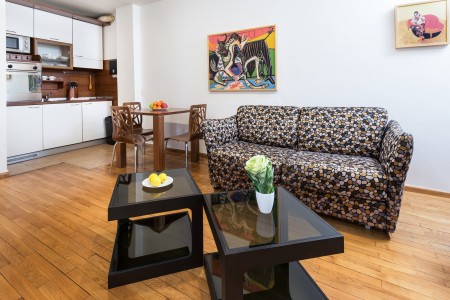 apartments belgrade centar apartment rakoc a255