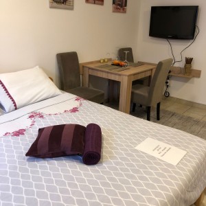 apartmani beograd zemun apartman blue danube