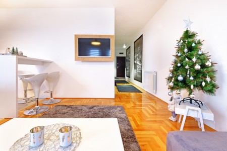 apartments beograd zemun apartment apartman adonis9