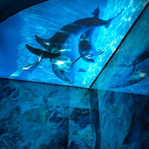 apartmani beograd vozdovac apartman dreams rooms beograd dolphine room2