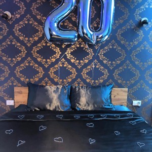 apartmani beograd vozdovac apartman dreams rooms beograd dolphine room3