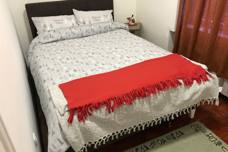 apartmani beograd vracar apartman mira2