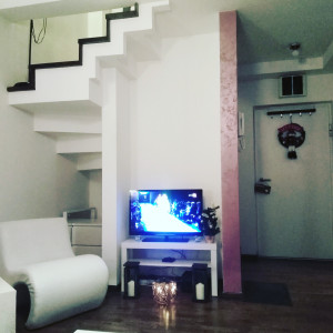 apartmani beograd centar apartman ines9