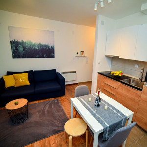 apartmani zlatibor planina apartman nada 73