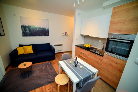 apartmani zlatibor planina apartman nada 74