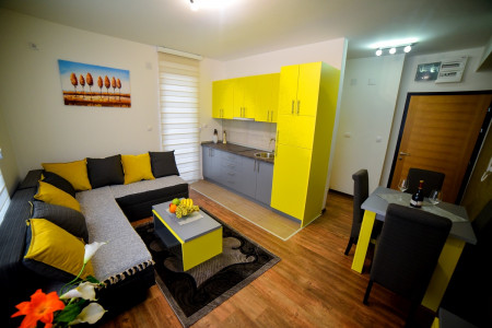 apartmani zlatibor planina apartman nada 124