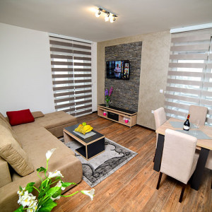 apartmani zlatibor planina apartman nada 15