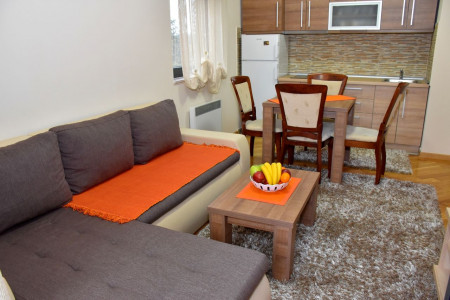 apartmani zlatibor planina apartman aleksandar 1311
