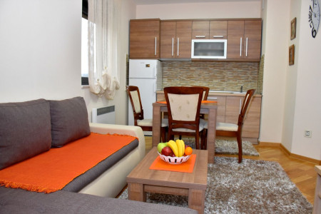 apartmani zlatibor planina apartman aleksandar 1312