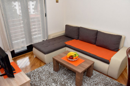 apartmani zlatibor planina apartman aleksandar 1314