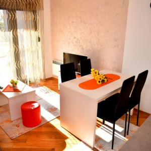 apartmani zlatibor planina apartman aleksandar 16