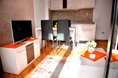 apartmani zlatibor planina apartman aleksandar 163