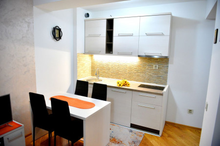 apartmani zlatibor planina apartman aleksandar 164