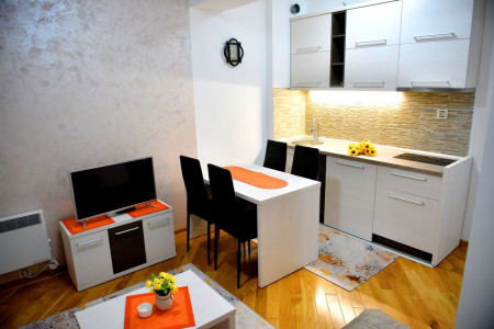 apartmani zlatibor planina apartman aleksandar 165