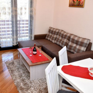 apartmani zlatibor planina apartman aleksandar 19