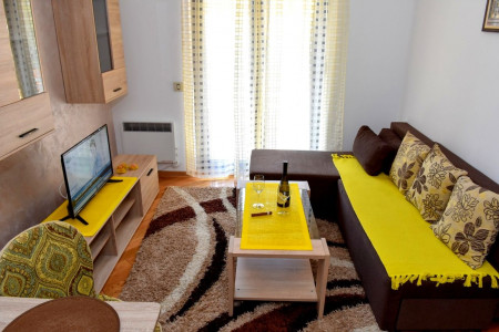 apartmani zlatibor planina apartman aleksandar 33