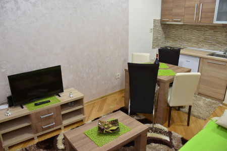 apartmani zlatibor planina apartman aleksandar 42