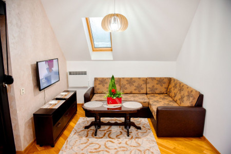 apartmani zlatibor planina apartman aleksandar lux4