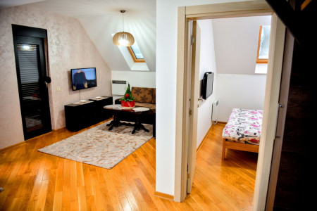 apartmani zlatibor planina apartman aleksandar lux5