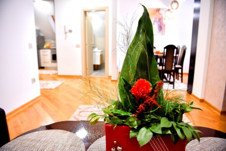 apartmani zlatibor planina apartman aleksandar lux7