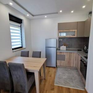 apartmani zlatibor planina apartman magdalena6