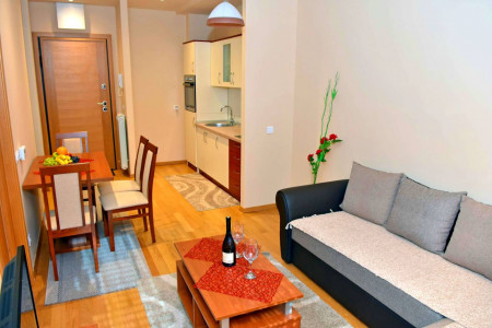 apartmani zlatibor planina apartman anja 25