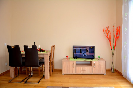 apartmani zlatibor planina apartman anja 3