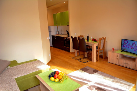 apartmani zlatibor planina apartman anja 33