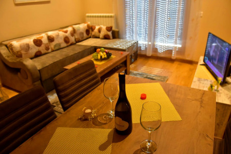 apartmani zlatibor planina apartman anja 45