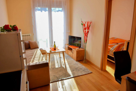 apartmani zlatibor planina apartman anja 5