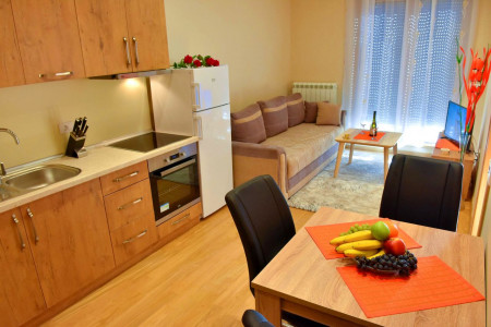 apartmani zlatibor planina apartman anja 52