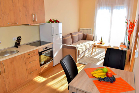 apartmani zlatibor planina apartman anja 55