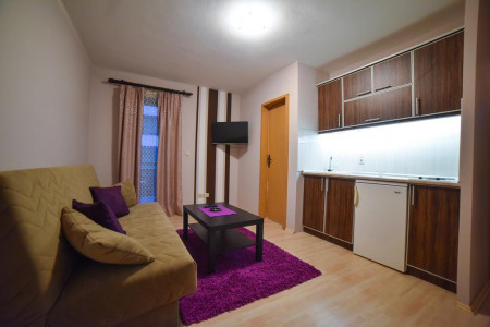 apartmani zlatibor planina apartman vila stikic 415