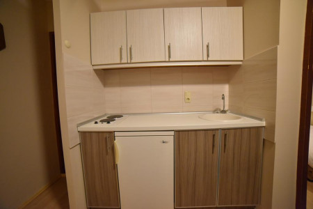 apartmani zlatibor planina apartman vila stikic 522
