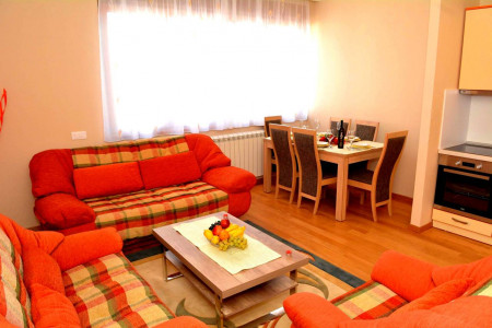apartmani zlatibor planina apartman anja luxe2