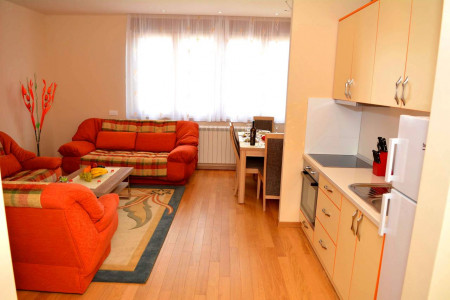apartmani zlatibor planina apartman anja luxe6