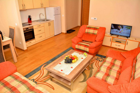 apartmani zlatibor planina apartman anja luxe7