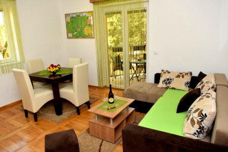 apartmani zlatibor planina apartman danica 17