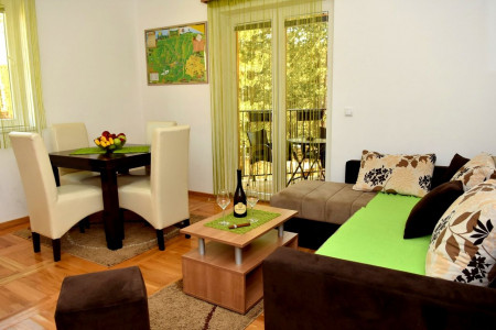 apartmani zlatibor planina apartman danica 174