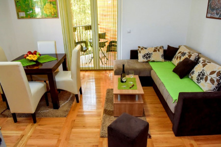 apartmani zlatibor planina apartman danica 175