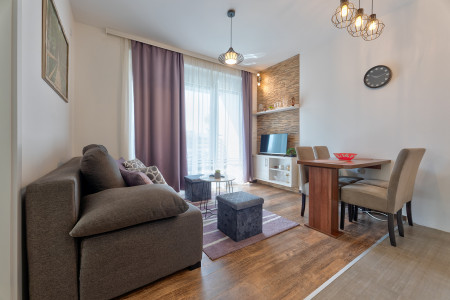 apartmani zlatibor planina apartman luna zlatibor3