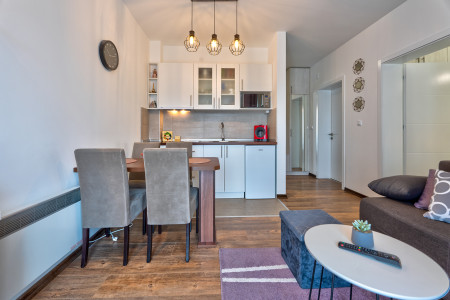 apartmani zlatibor planina apartman luna zlatibor4