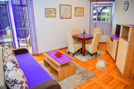 apartmani zlatibor planina apartman danica 22